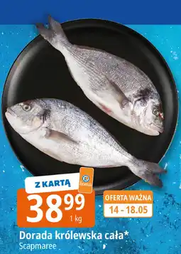 E.Leclerc Dorada Scapmaree oferta