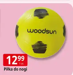 E.Leclerc Piłka nożna Woodsun oferta