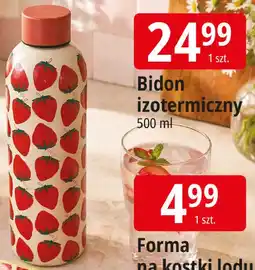 E.Leclerc Bidon izotermiczny oferta