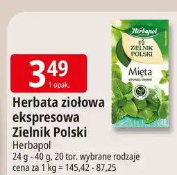 E.Leclerc Herbatka mięta Herbapol Zielnik Polski oferta