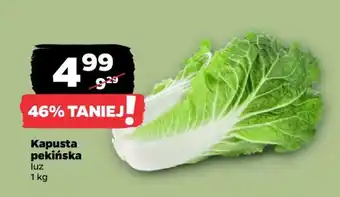 Kapusta pekińska