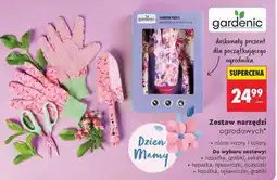 Biedronka Zestaw narzędzi ogrodowych oferta