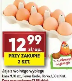 Avita Jaja z wolnego wybiegu oferta