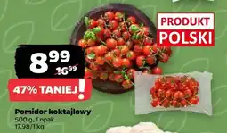Netto Pomidor koktajlowy polski oferta