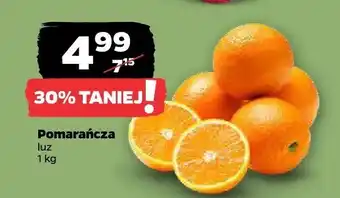 Netto Pomarańcza luz oferta