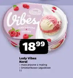 Netto Lody Vibes śmietankowo-jagodowe Koral oferta