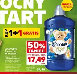 Kaufland Koncentrat do płukania Coccolino Perfume & Care Passion Flower & Bergamot oferta