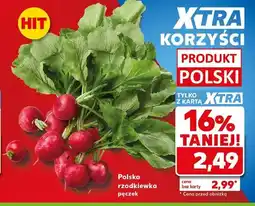 Kaufland Rzodkiewka polska oferta