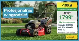ERLI Kosiarka CEDRUS z silnikiem Honda + olej 1,2l oferta