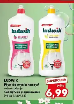 Kaufland Płyn do mycia naczyń Ludwik malinowy oferta