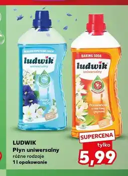 Kaufland Płyn uniwersalny Ludwik kwiaty laguny oferta