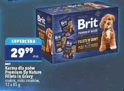 Biedronka Karma dla psów Premium By Nature Fillets in Gravy oferta