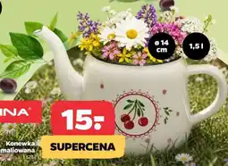 Netto Konewka emaliowana oferta