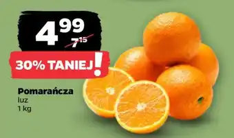 Netto Pomarańcza oferta
