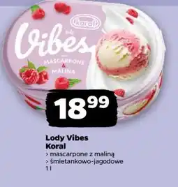 Netto Lody Vibes Koral oferta