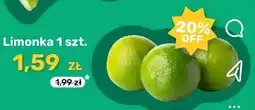 Biedronka Limonka 1 szt oferta