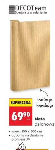 Biedronka Mata osłonowa oferta