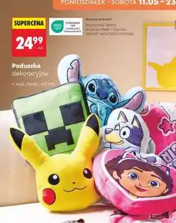 Biedronka Poduszka dekoracyjna oferta