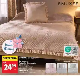 Biedronka Poduszka dekoracyjna oferta