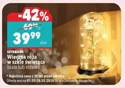 Biedronka Wieczna róża w szkle świecąca oferta