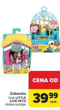 Carrefour Zabawka linia LITTLE LIVE PETS oferta
