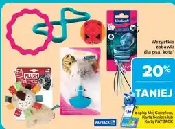 Carrefour Wszystkie zabawki dla psa, kota oferta