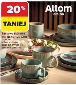 Carrefour Zastawa stołowa linia REACTIVE SAGE różne rodzaje oferta