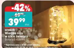 Biedronka EXTRALINK Wieczna róża w szkle świecąca oferta