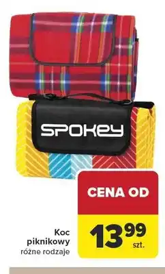 Carrefour Koc piknikowy Spokey oferta