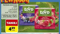 Carrefour Herbata owocowa LOYD Owoce Leśne oferta