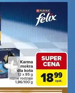 Carrefour Karma mokra dla kota Fantastic Felix 12-pak oferta