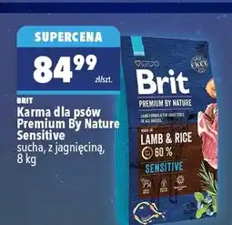 Biedronka Karma dla psów Premium By Nature Sensitive sucha z jagnięciną BRIT oferta