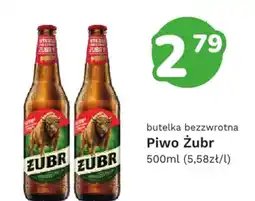 Limonka Piwo Żubr oferta