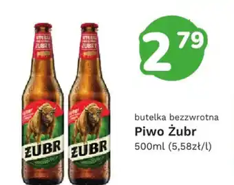 Limonka Piwo Żubr oferta