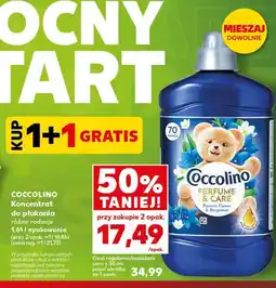 Kaufland COCCOLINO Koncentrat do płukania oferta