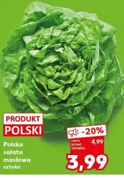 Kaufland Polska sałata masłowa sztuka oferta