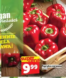 Topaz Papryka czerwona oferta