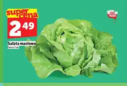 Topaz Sałata masłowa oferta
