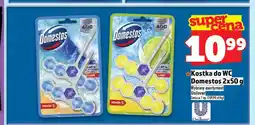 Topaz Kostka do WC Domestos Ocean 2-pak oferta
