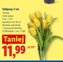 Lidl Tulipany 7-pak oferta