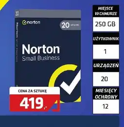 Alsen Norton Small Business oferta