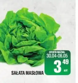 TomiMarkt Sałata masłowa oferta