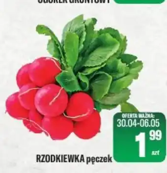 TomiMarkt Rzodkiewka oferta