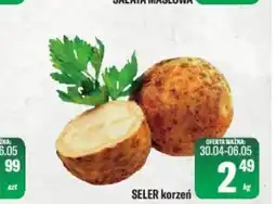 TomiMarkt Seler oferta