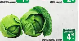 TomiMarkt Kapusta biała młoda oferta