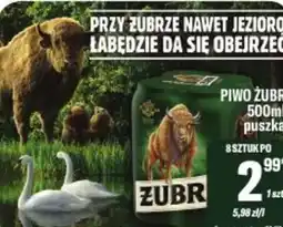 TomiMarkt Piwo Żubr oferta