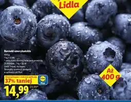 Lidl Borówki amerykańskie oferta