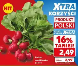 Kaufland Polska rzodkiewka pęczek oferta