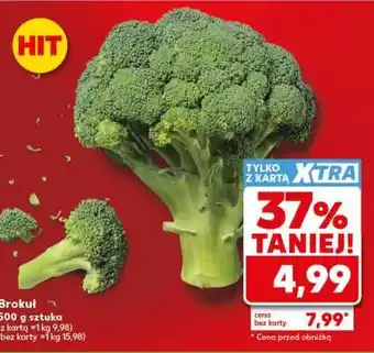 Kaufland Brokuł oferta