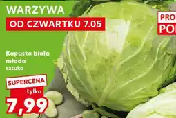 Kaufland Kapusta biała młoda sztuka oferta